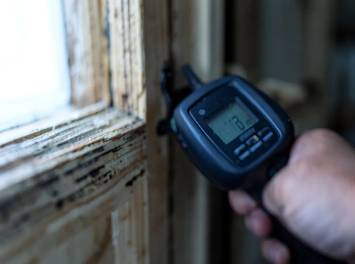 Water Damage Restoration Thonotosassa, FL FAQs